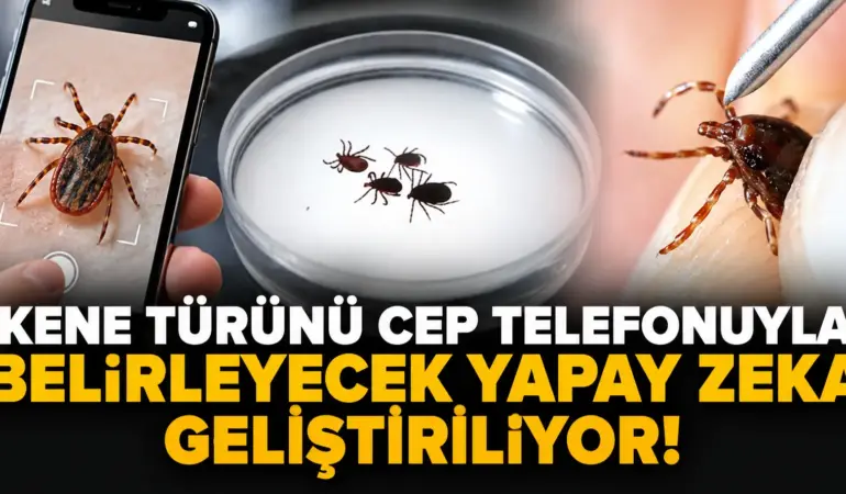 ChatGPT Görseli 28 Eyl 2026 15_45_21