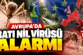 Avrupa’da Batı Nil Virüsü Alarmı