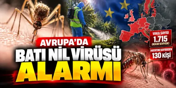 Avrupa’da Sivrisinek Alarmı! Batı Nil Virüsü Can Almaya Devam Ediyor