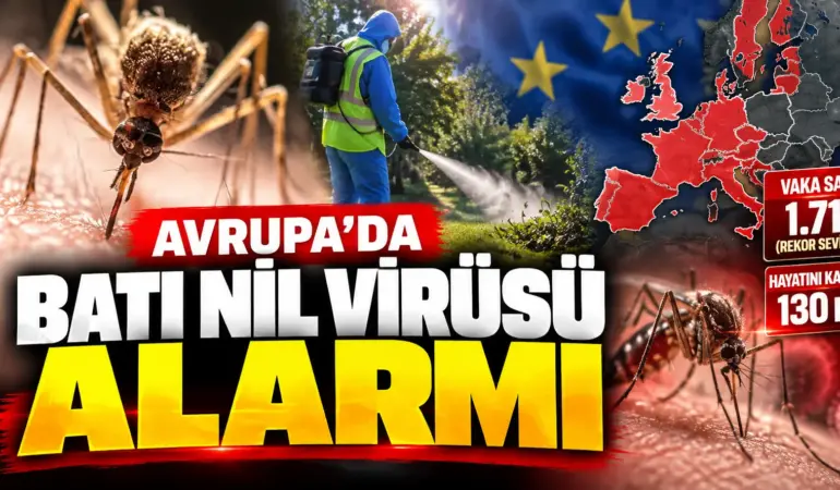 Avrupa’da Sivrisinek Alarmı! Batı Nil Virüsü Can Almaya Devam Ediyor