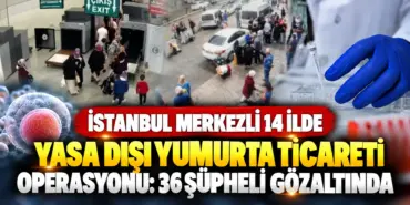 İstanbul Merkezli Yumurta Ticareti Operasyonu