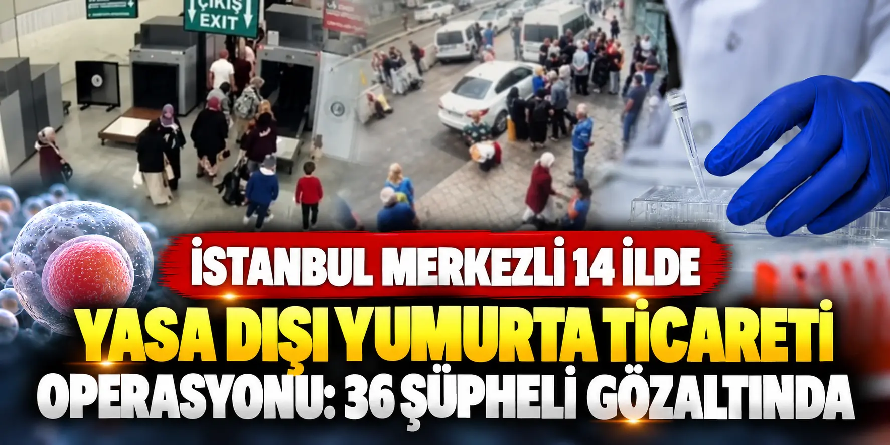 İstanbul Merkezli Yumurta Ticareti Operasyonu