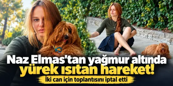 Ünlü oyuncudan örnek davranış! Hırkasını çıkarıp sokak köpeklerini kurtardı